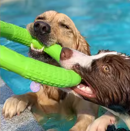 Floating Disc Toy