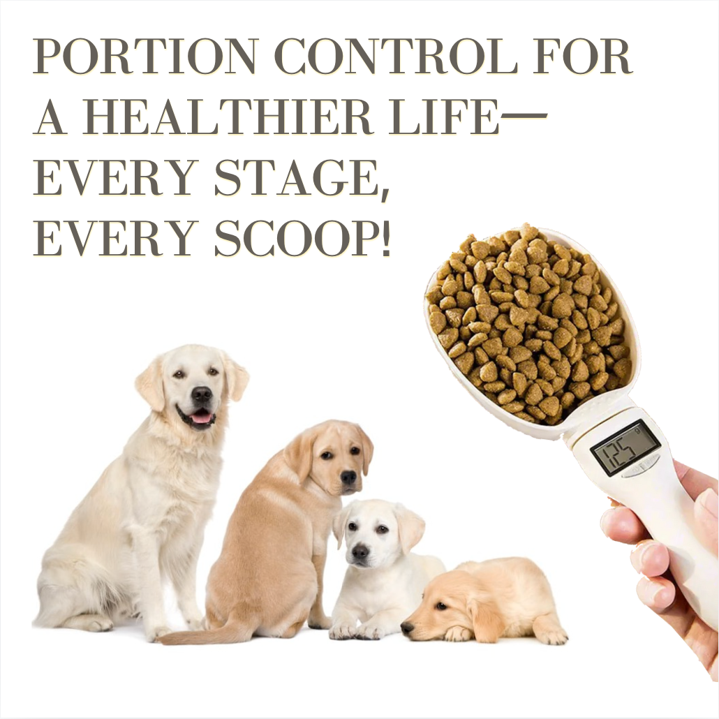 Digital Pet Food Scoop