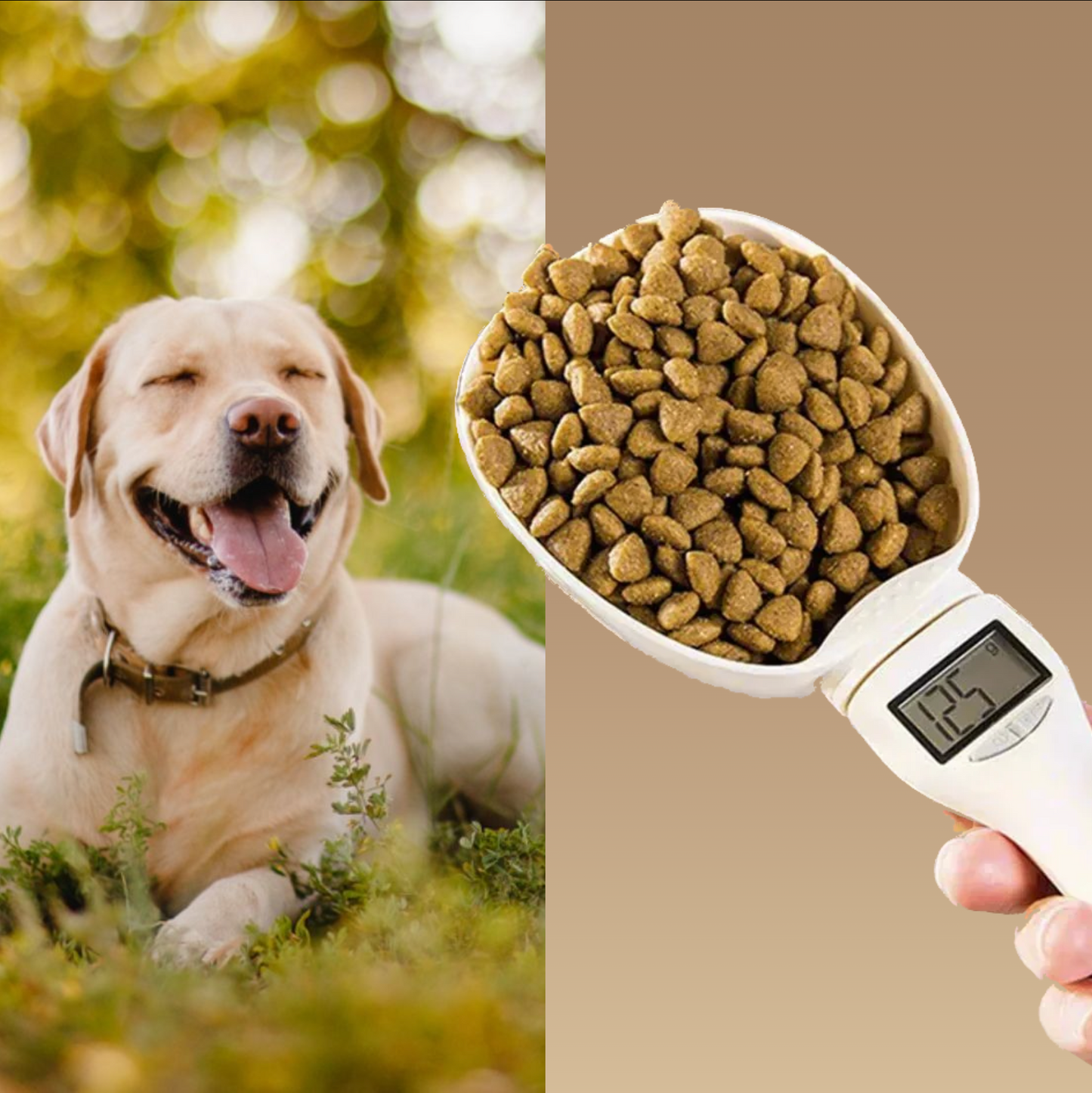 Digital Pet Food Scoop