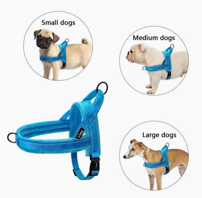 No-Pull Dog Harness