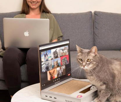 Purrfect Laptop Scratcher