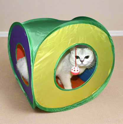 Square Rainbow Cat Tunnel