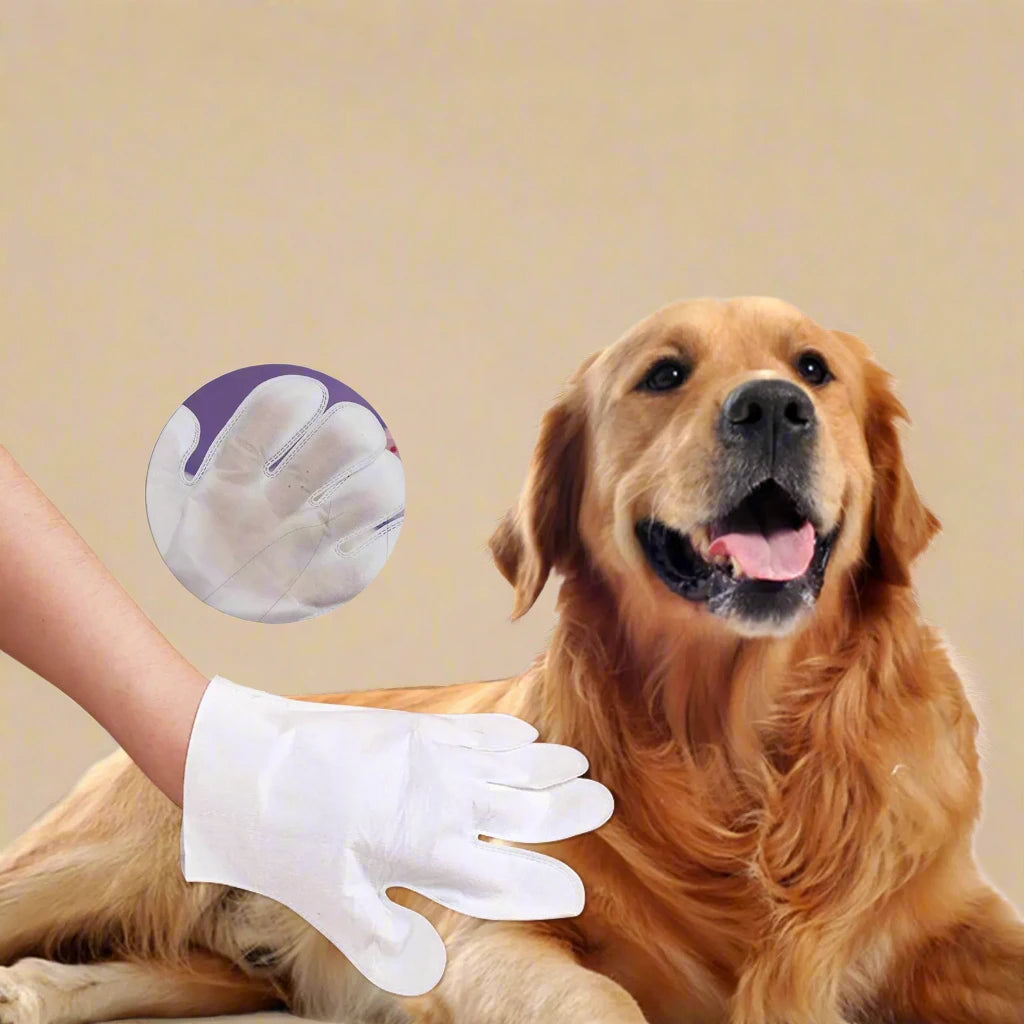 Disposable Pet Cleaning Gloves