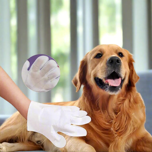 Disposable Pet Cleaning Gloves