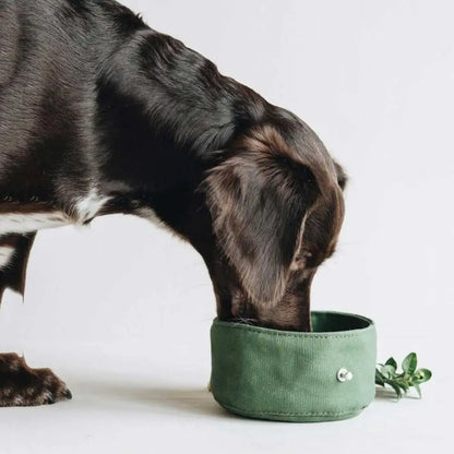 Folding Waterproof Canvas Dog Bowl