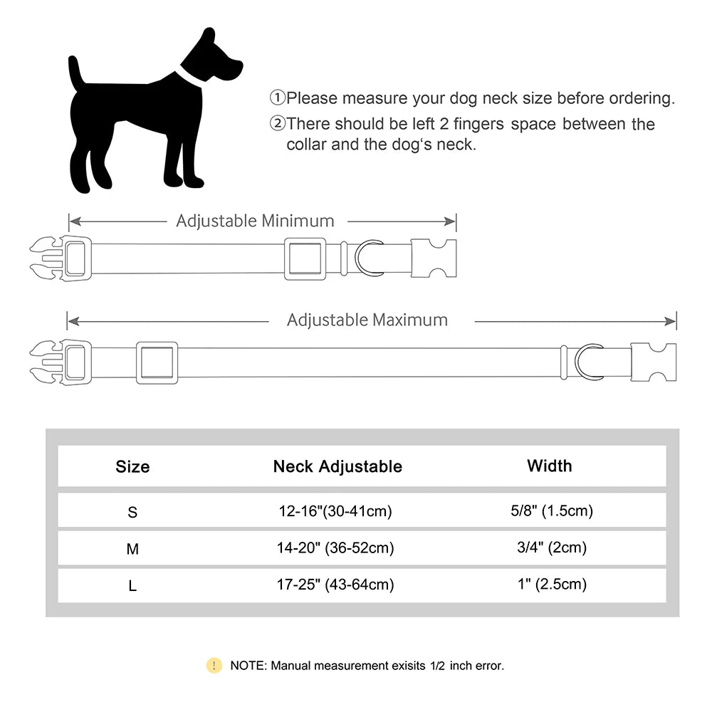 Dual-Tone Active Dog Collar