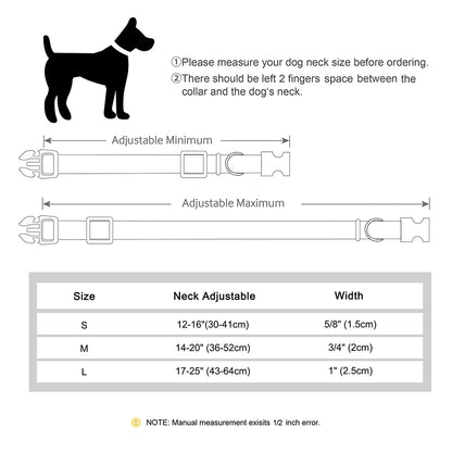 Dual-Tone Active Dog Collar