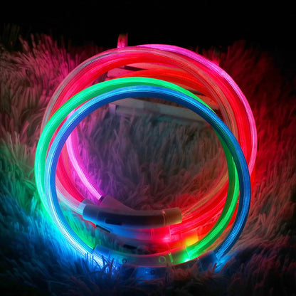 LED Dog Collar