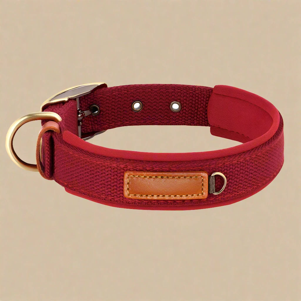 Durable Nylon Dog Collar