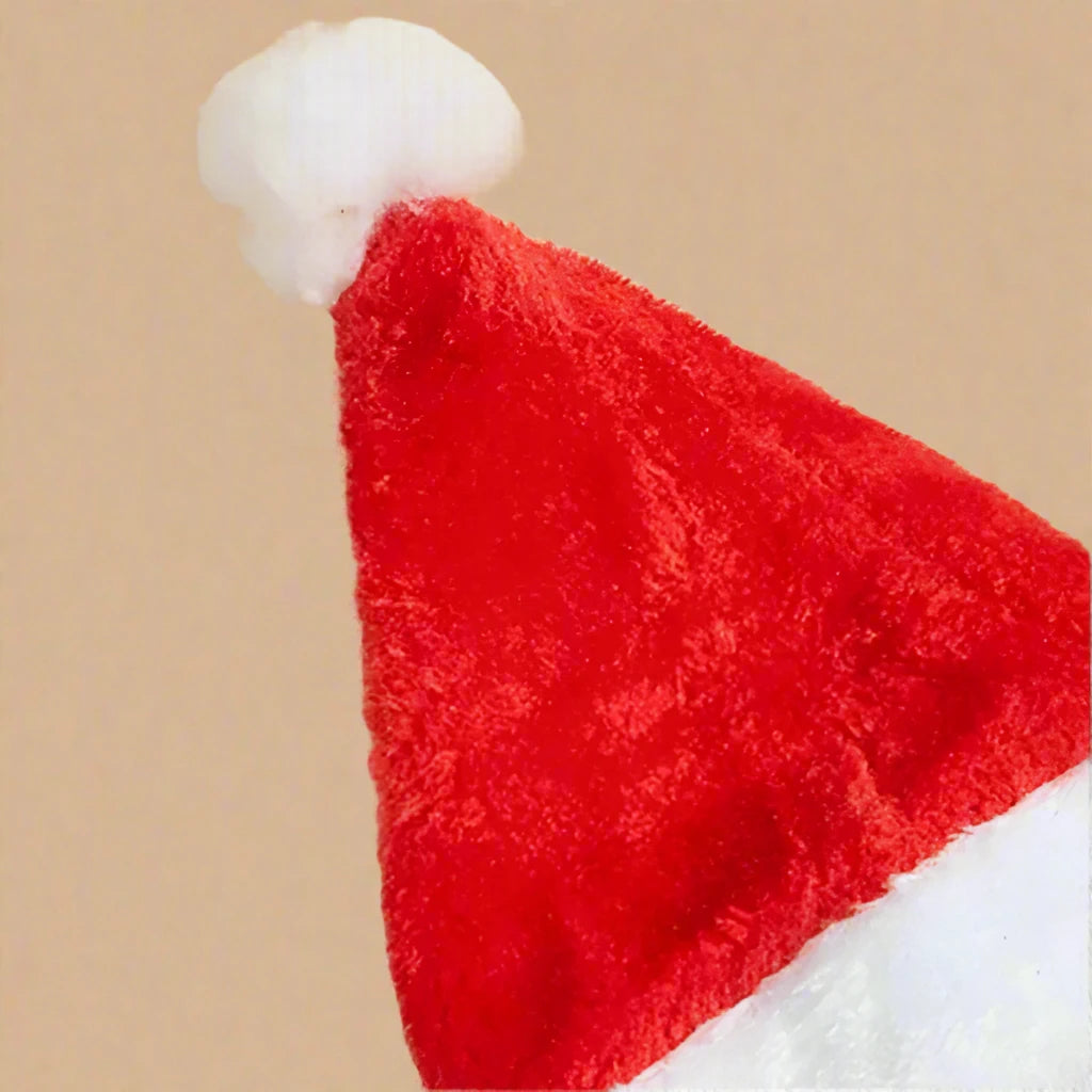 Jolly Santa Hat for Pets