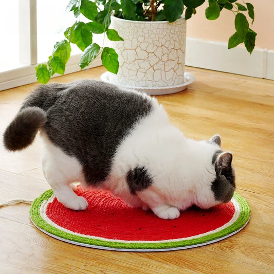 Color Pop Cat Scratcher Mat