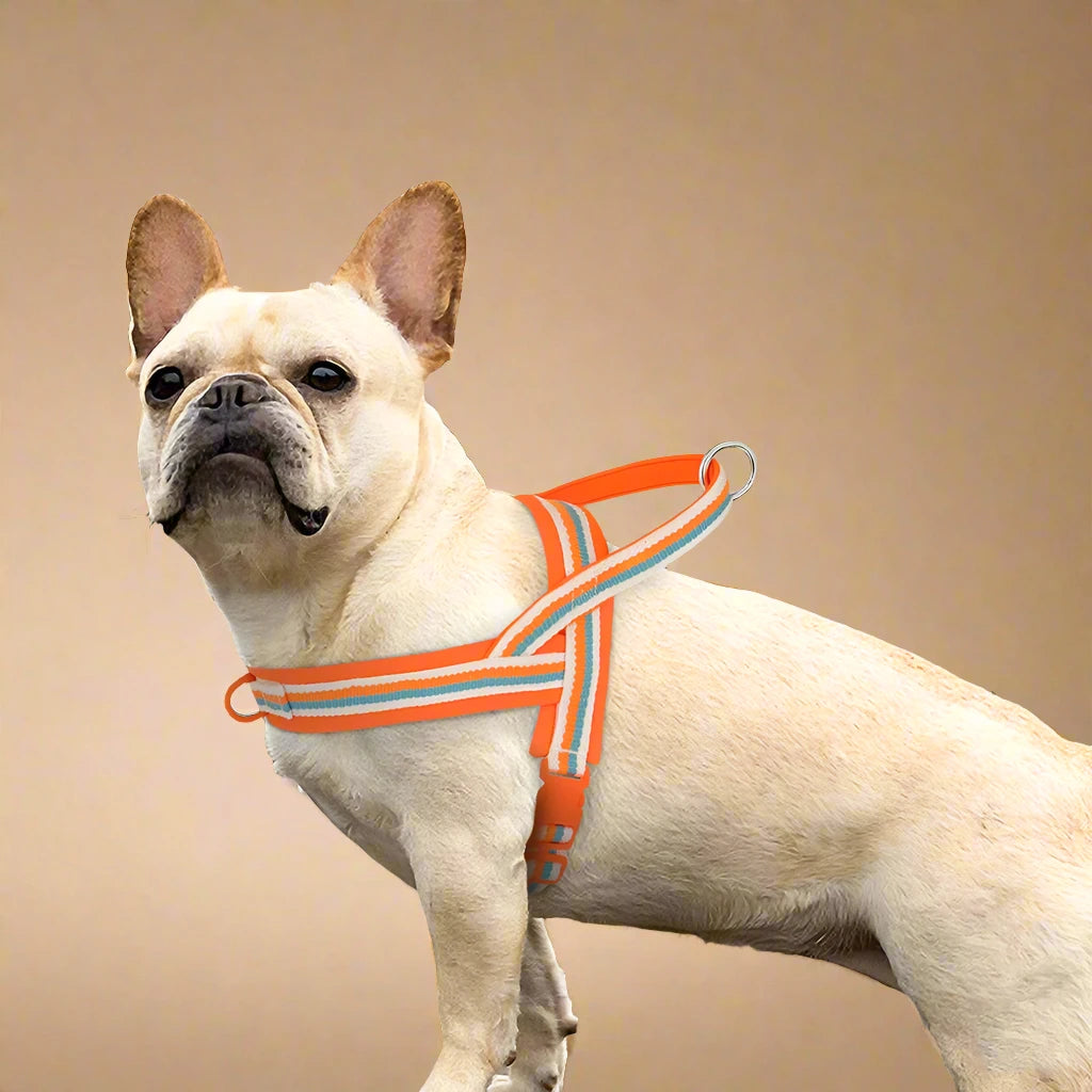 Bubblegum Stripe No-Pull Dog Harness