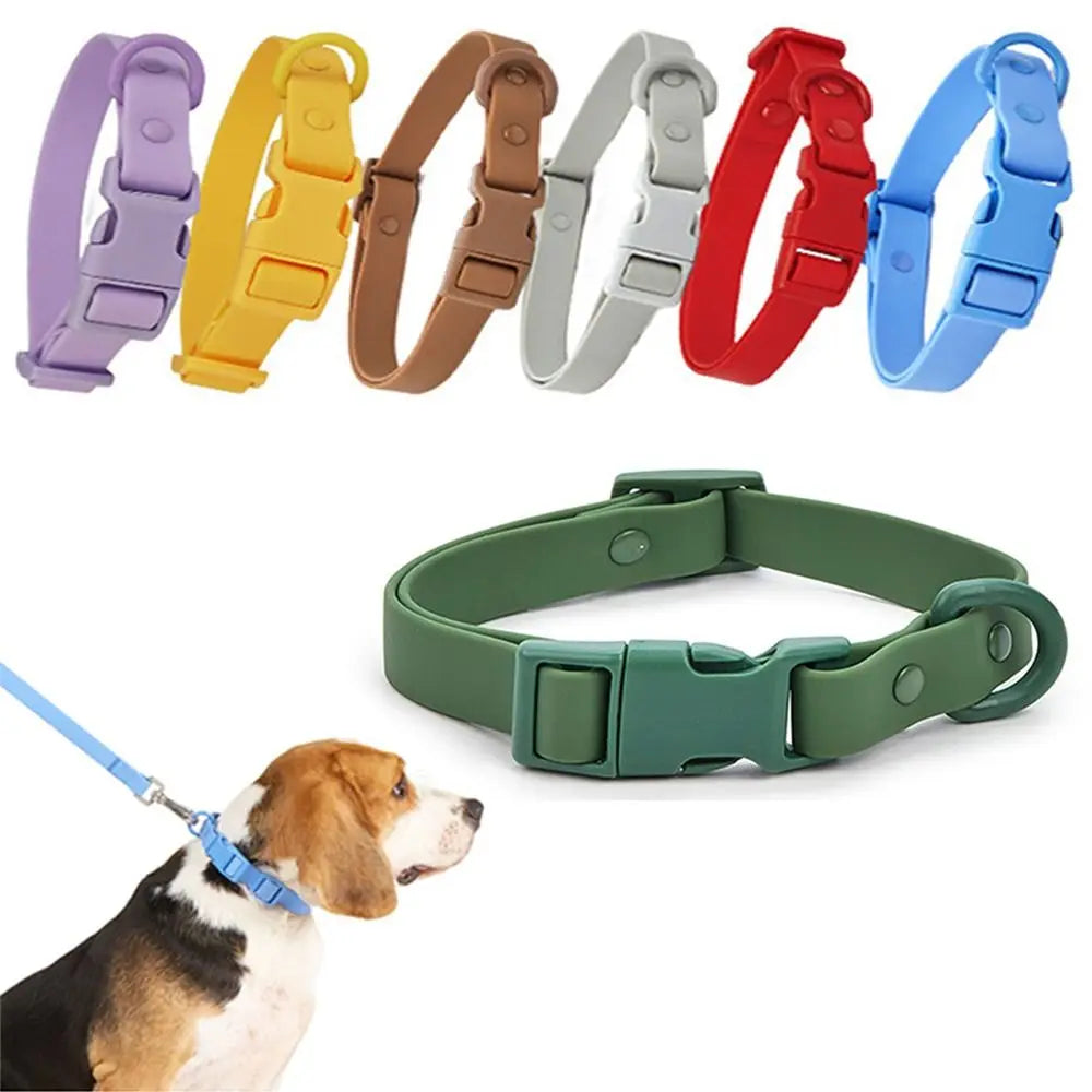 Solid Hue Active Dog Collar