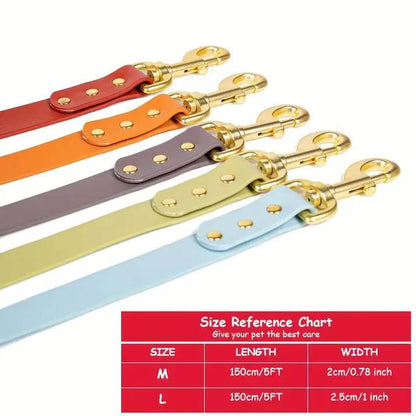 Solid Hue Active Dog Leash