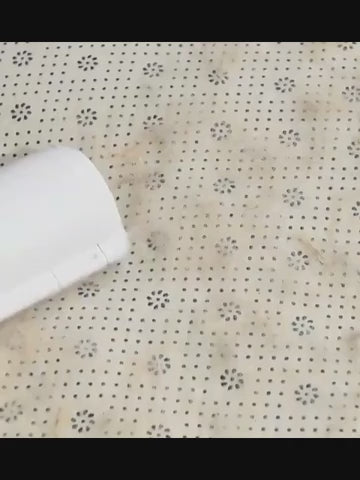 Reusable Pet Hair Roller