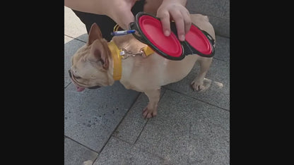 2 in 1 Portable Dog Bowl