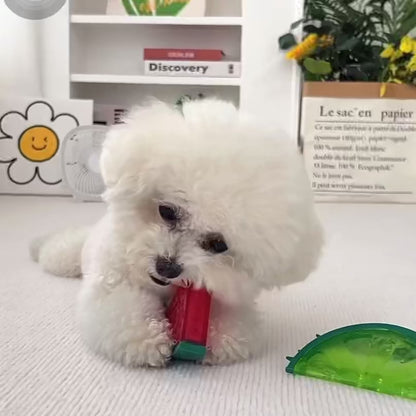 Freeze Chew Toys for Dogs