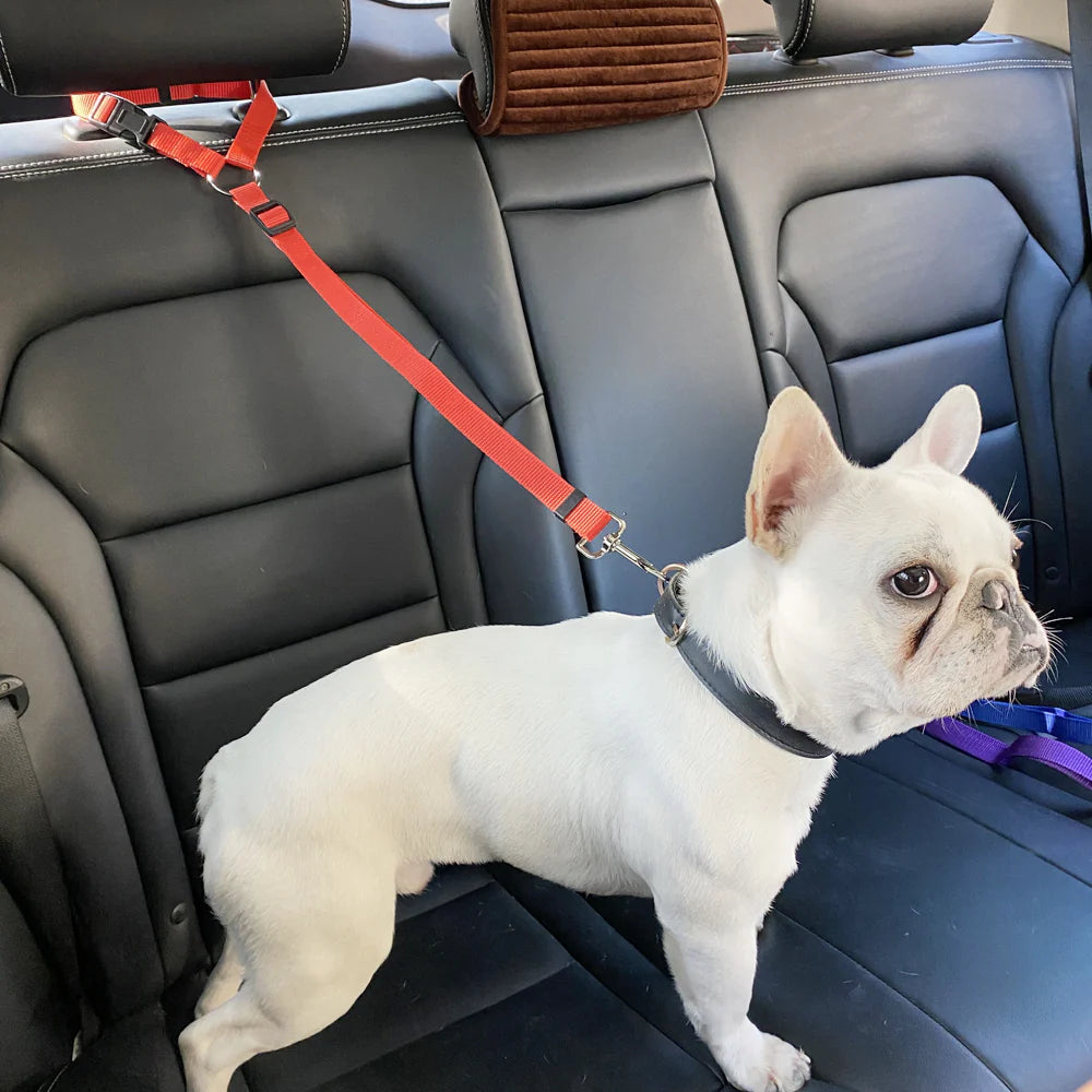 Dog Seat Belt Harness