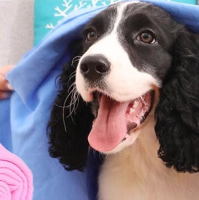 Absorbent Shammy Pet Towel